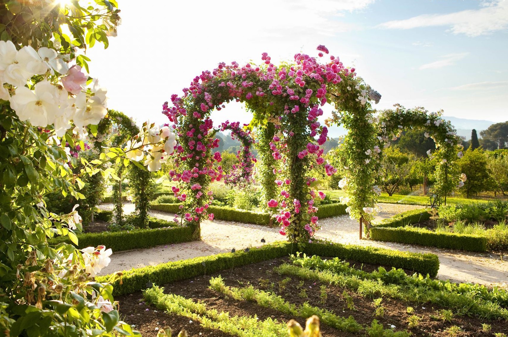 Week-end en Provence : Quel hôtel choisir pour visiter les Alpilles ?