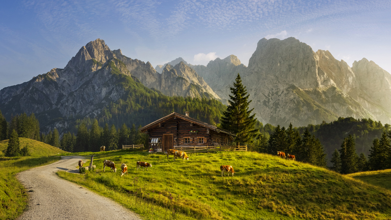 Montagna con piccolo chalet e mucche nelle Alpi.