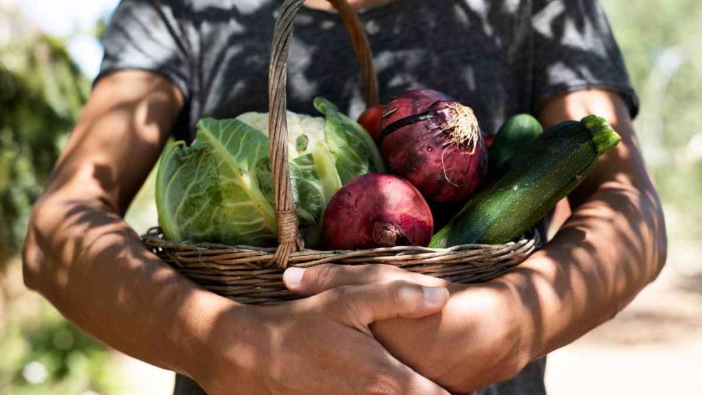 Pâques anti-gaspillage, produits locaux