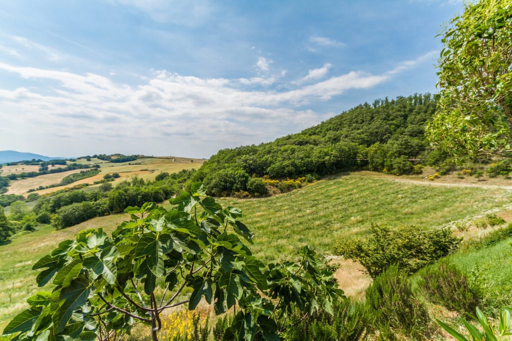 Vista della Tenuta Borgo Santa Cecilia, maison di Teritoria in Umbria