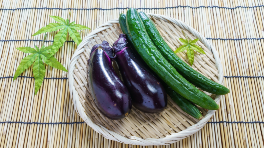 Aubergines et concombres posés sur un plat en osier. Style estival. calendrier des fruits et légumes d'été