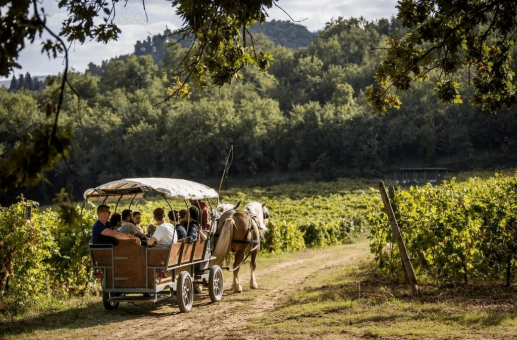 Immagine illustrativa di un giro in carrozza vicino al Castello di Petrata, casa di Teritoria in Umbria