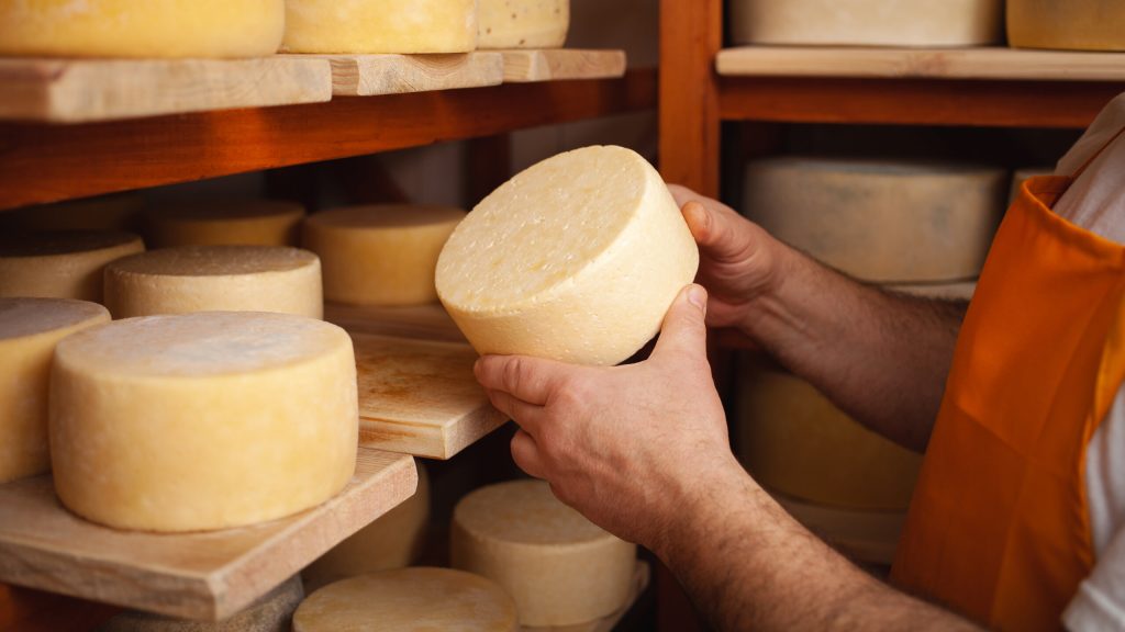 Image illustrative de l'activité de visite de la ferme agricole Massimiani, de production fromagère. Un homme prend dans ses mais une roue de fromage.