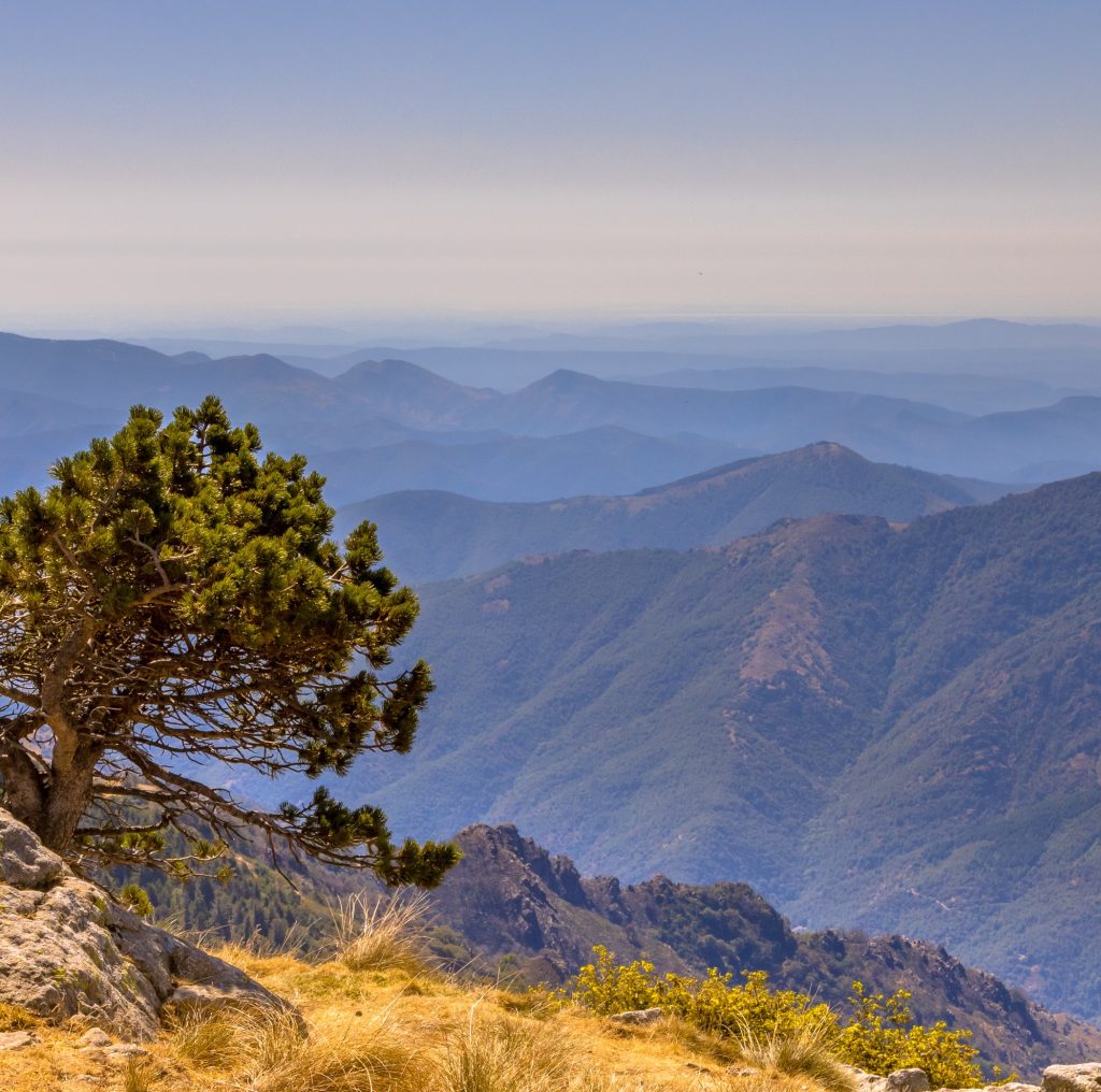 occitanie 
tourisme responsable 
voyage durable 
mers et montagnes 